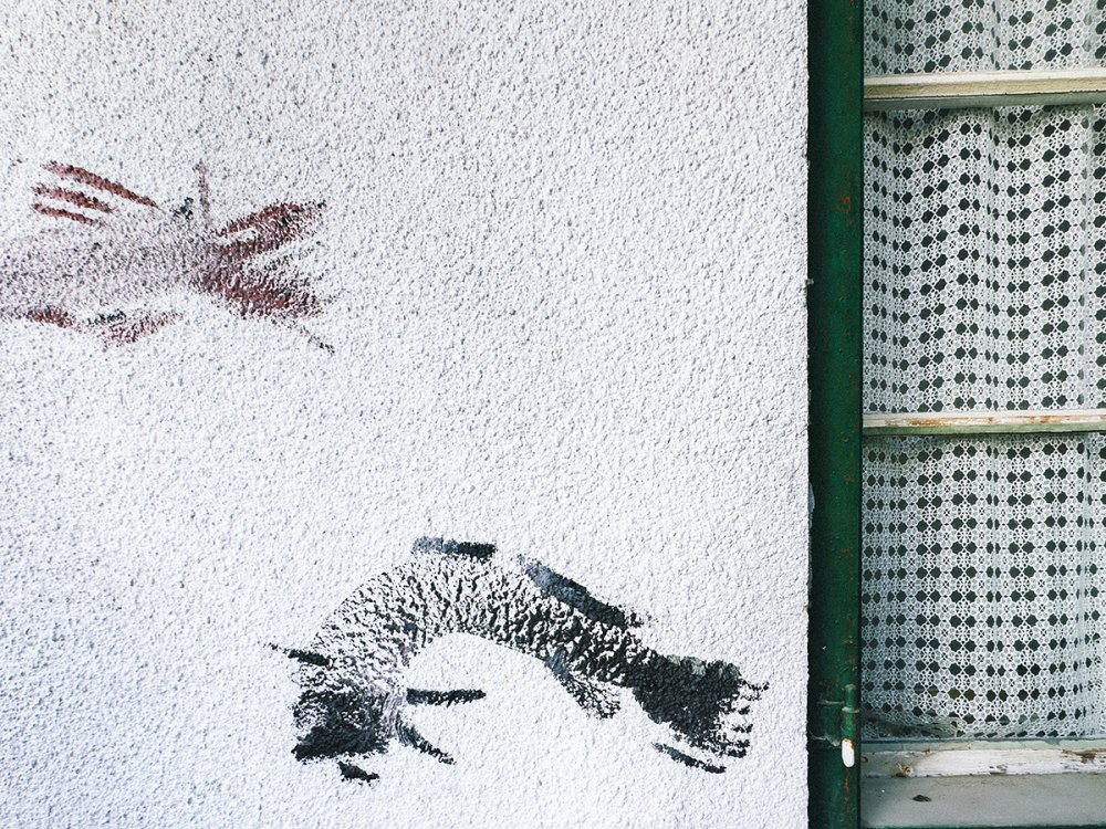 Vische, permanent, Kartaus, 2025