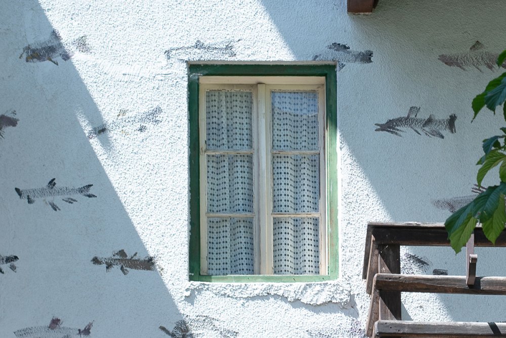 Vische, permanent, Kartaus, 2025