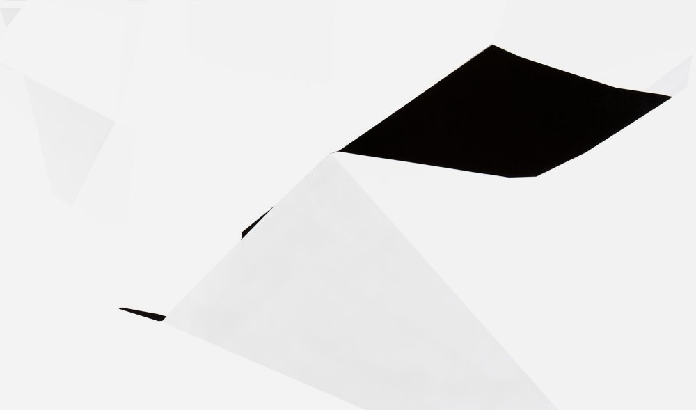 The Collection of Leaflets. A Late Afternoon,140 × 240 cm, pigment on canvas, 2019